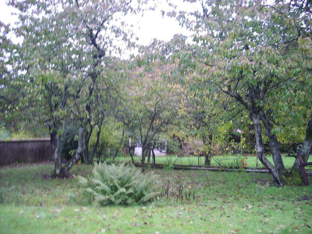Bed and Breakfast La Demeure Avesnoise Wignehies Exterior foto